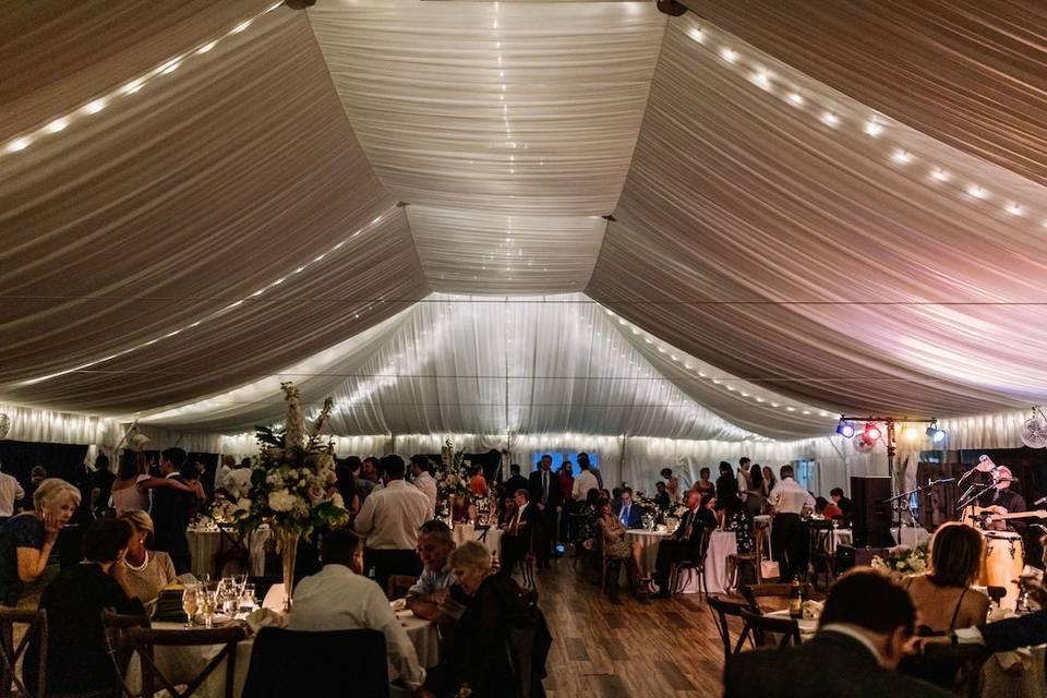 Estate Pavilion draped ceiling