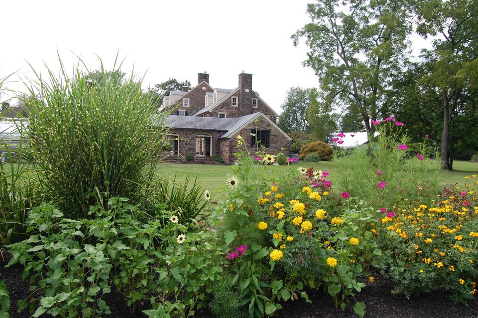 Flowers and garden