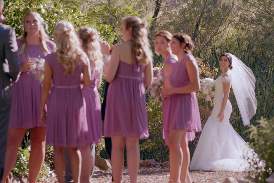 Bridal dress + bridesmaids