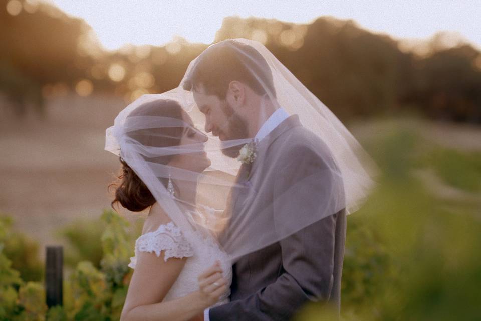 Newlyweds in the vineyard