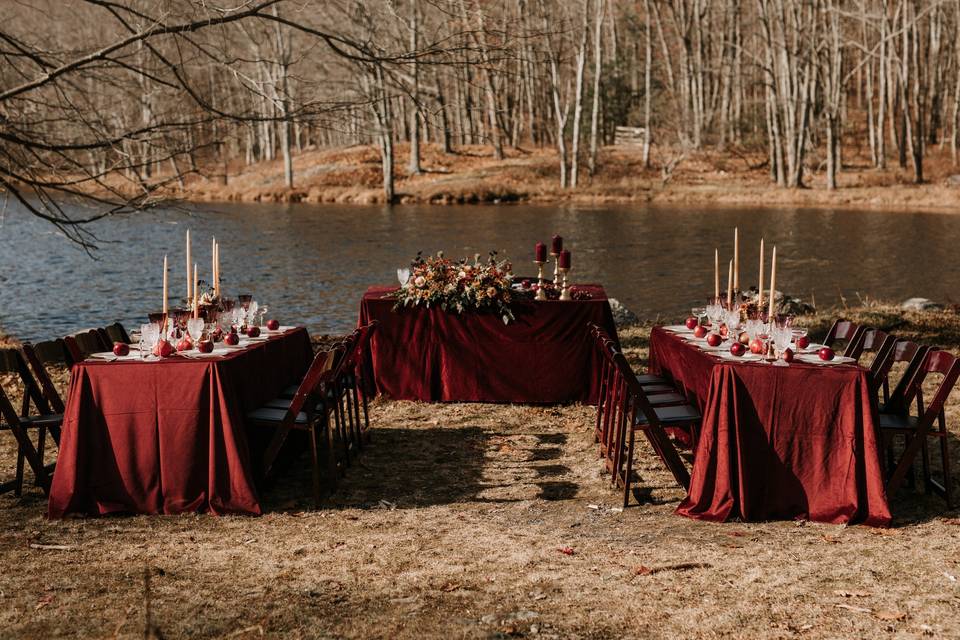 WEDDING: Velvet tablecloth