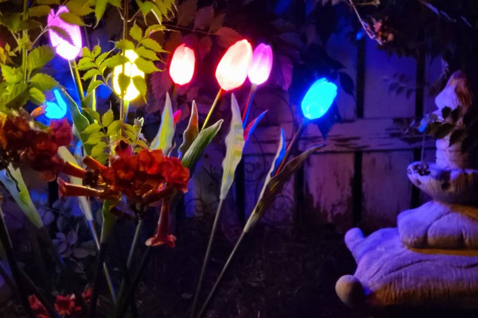 Light-up flowers