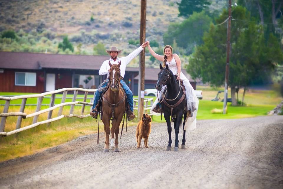 Horse picture bride and groom