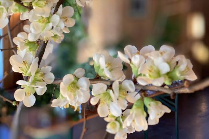 Flowers for winter wedding