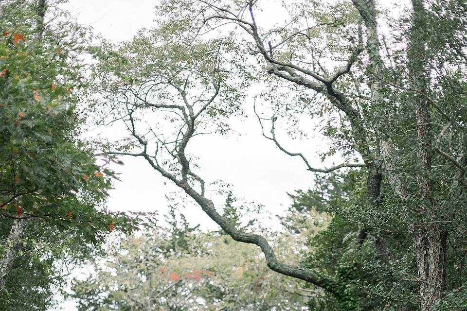 NJ Wedding Photographer