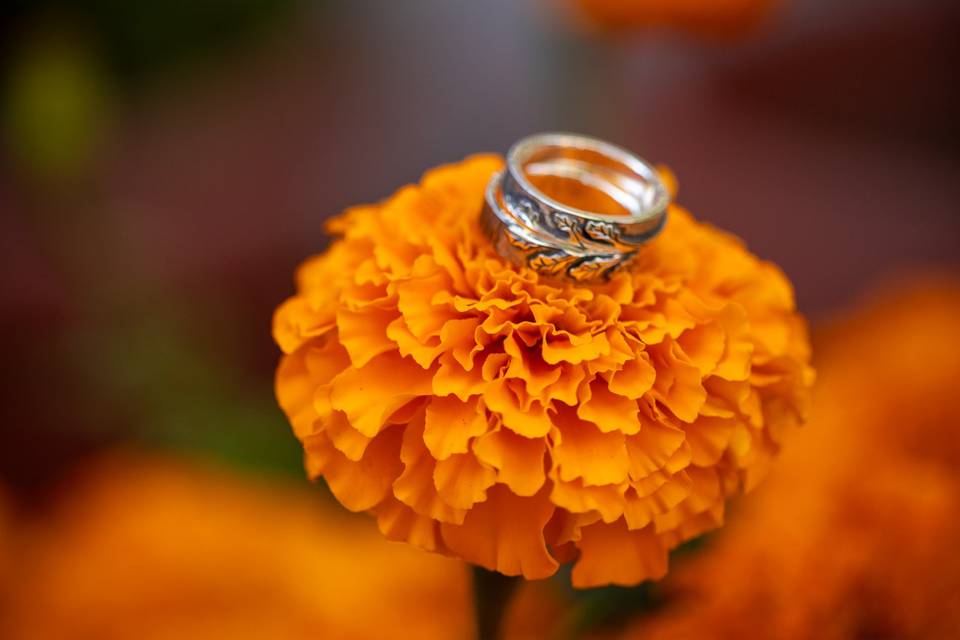 Rings on beautiful flowers