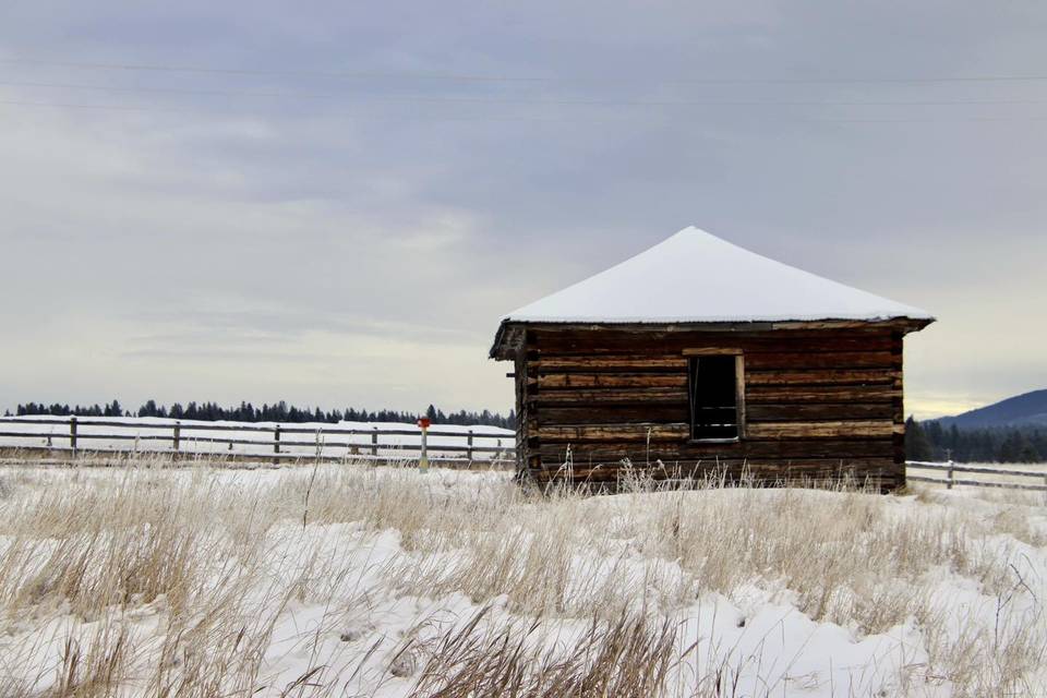 Winter  on the Farm