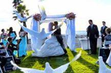 White doves