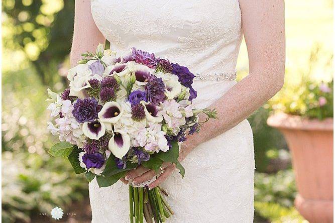 Bride and bridesmaids