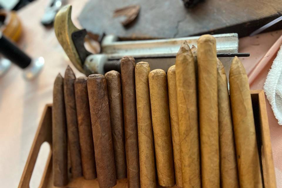 A selection of cigars