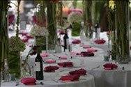 Table setting