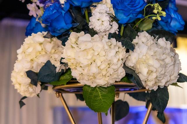 Blue Roses