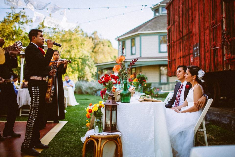 Claire Xu Photography