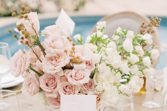 Alicia + Co. Events