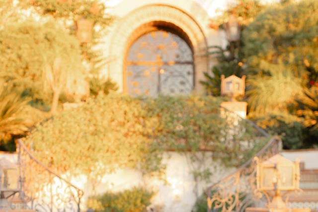 Alicia + Co. Events