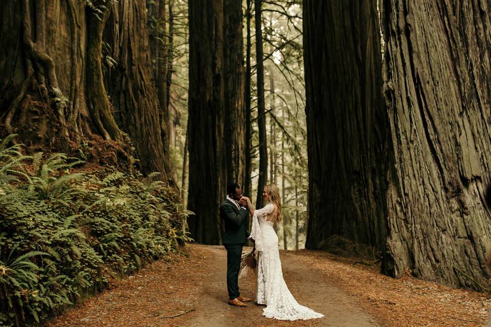 Eloping to the Redwoods CA