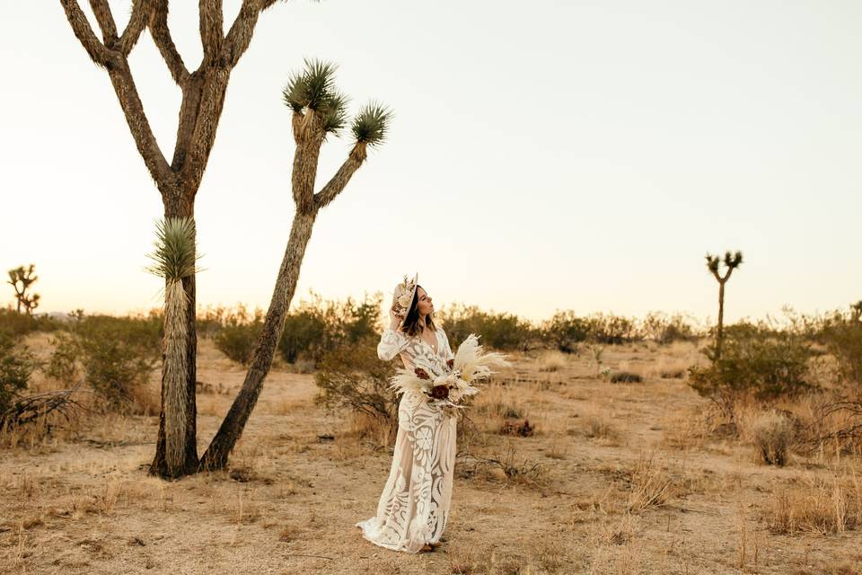 Joshua Tree Bridals