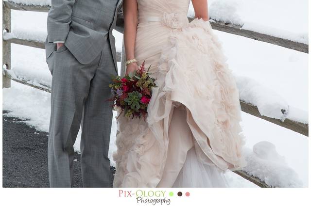 Pix-Ology