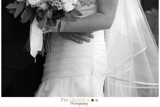 Pix-Ology