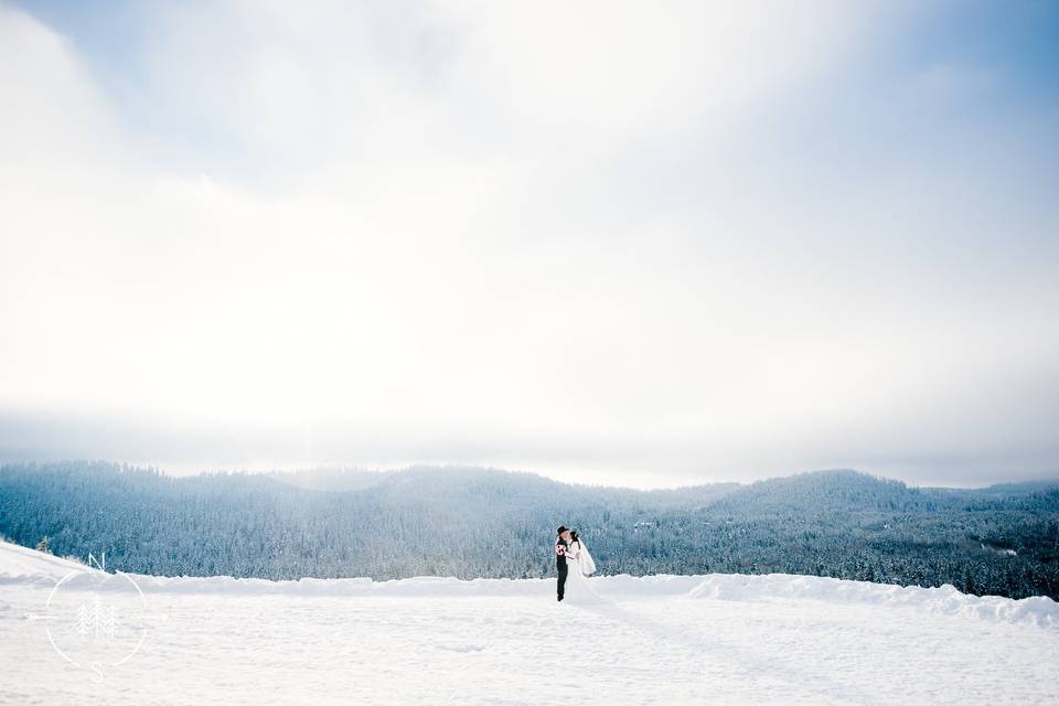 Winter wedding