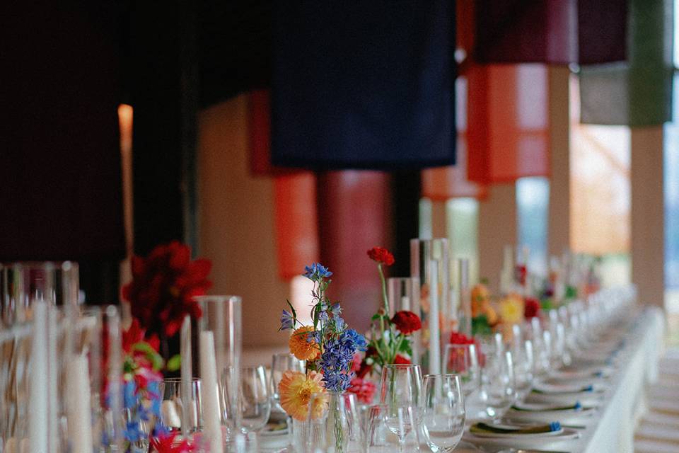 Colorful reception