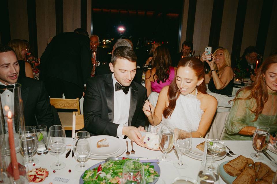 Lovebird at dinner