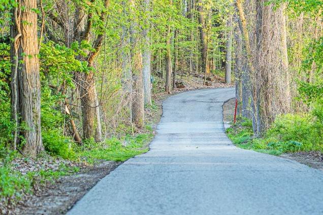 Woodland walking trails