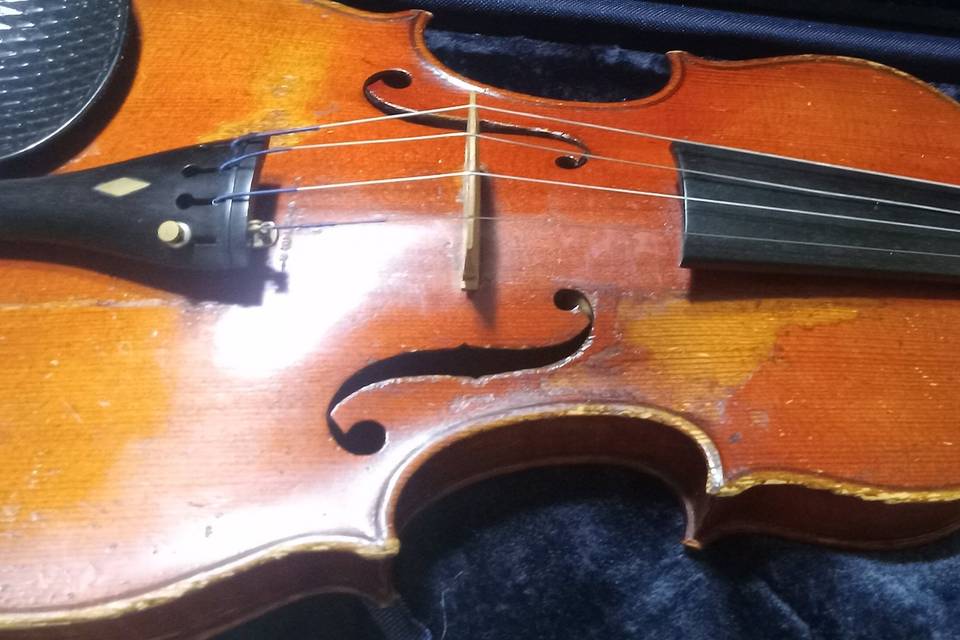 I'm a Violinist too