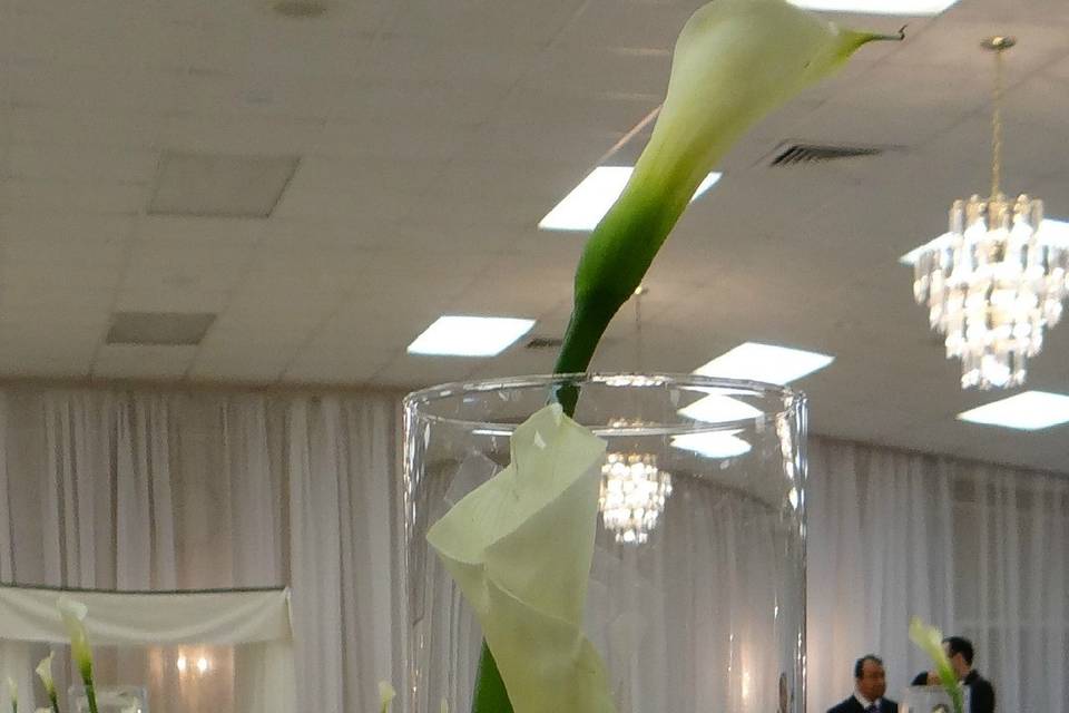 Bella's Events & Florist