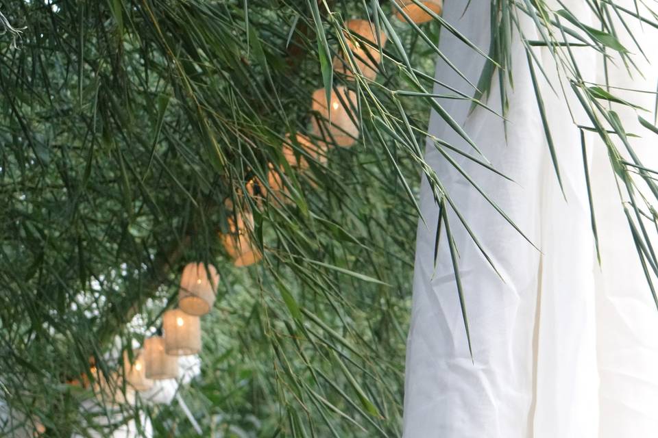 Bella's Events & Florist