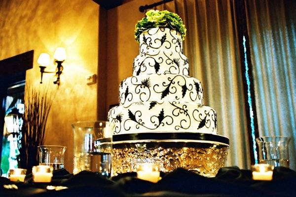 Treasured Moments Photography