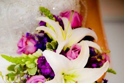 Treasured Moments Photography