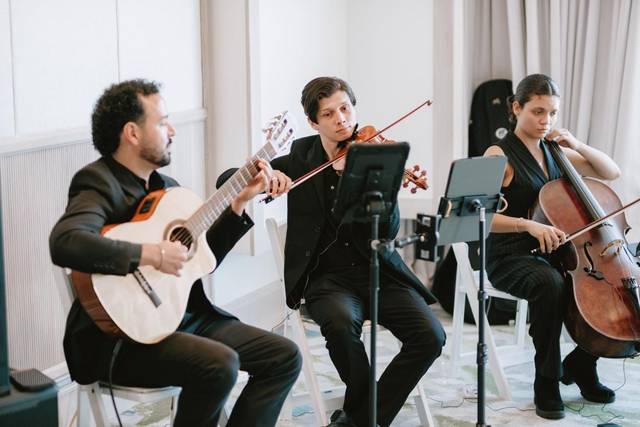Acoustic Strings Trio by EDP