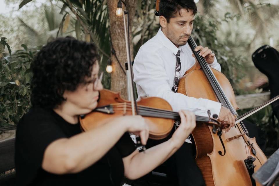 Violin & Cello