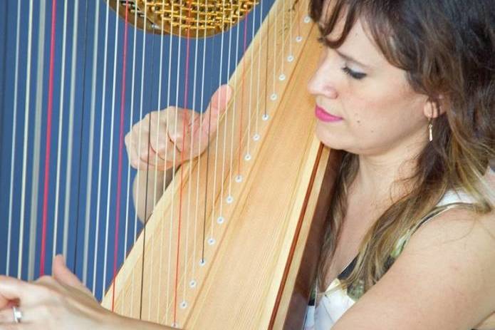 Playing harp