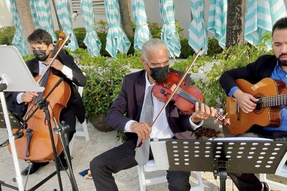 The Classy Strings Trio