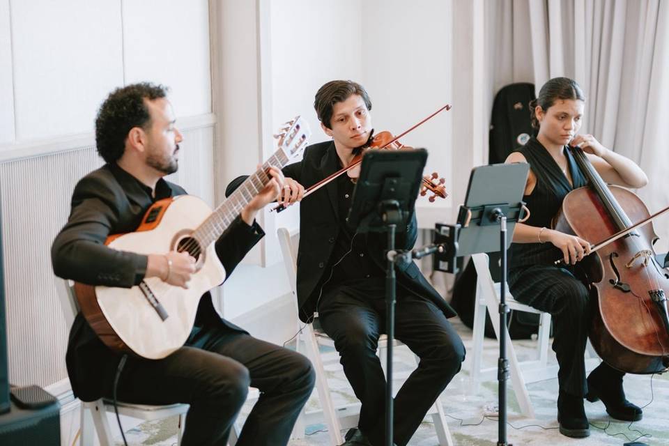 Acoustic Strings Trio by EDP