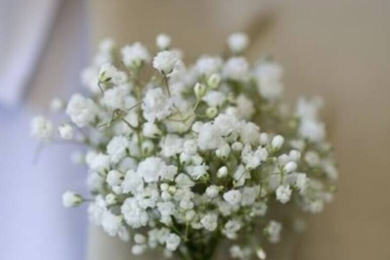 Tailored Events for You
