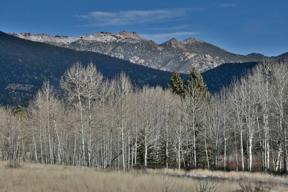 Puma Hills in the Winter