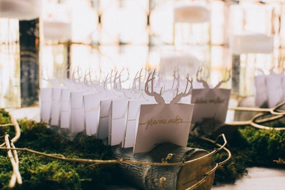 Place Cards