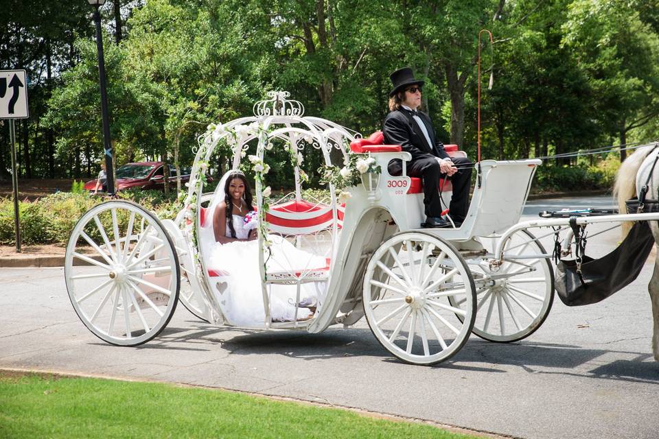 Horse and carriage to gazebo