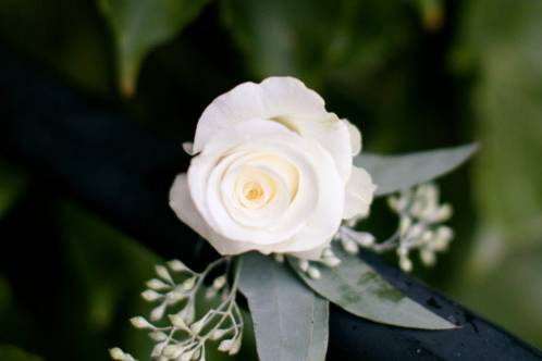 Detail of the flowers