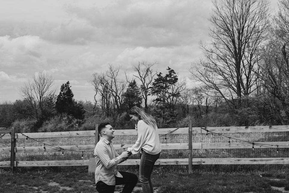 Proposal
