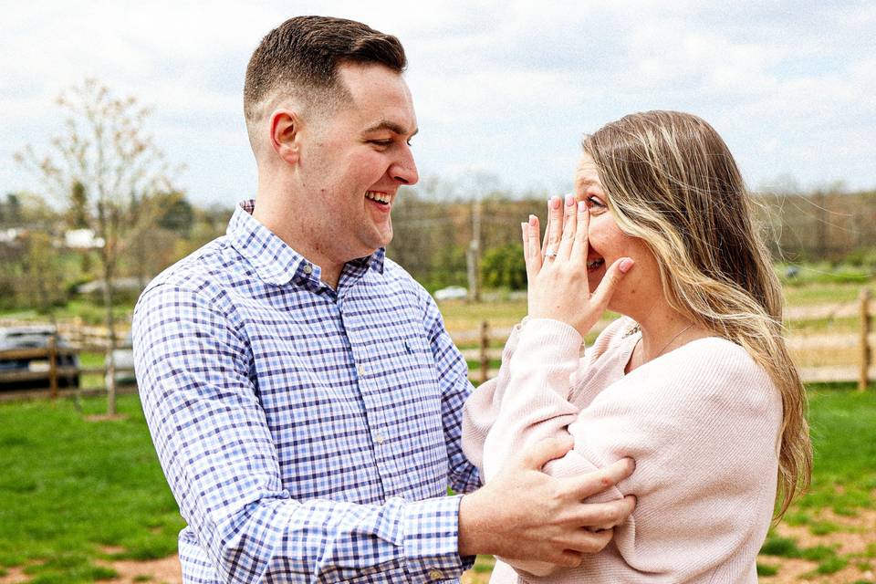 Proposal