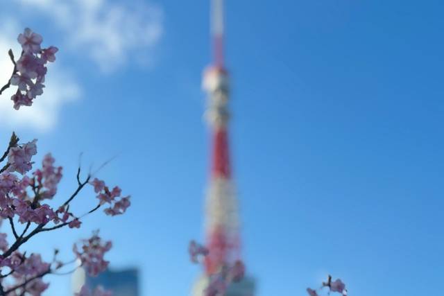 Capture Travel a Fora Travel Agency
