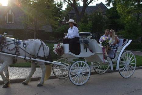 Dreamcatcher Carriage