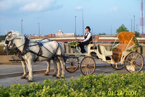 Dreamcatcher Carriage