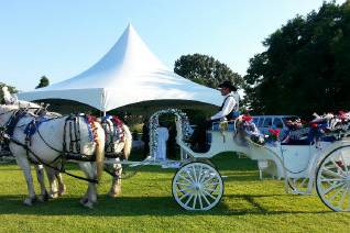 Dreamcatcher Carriage