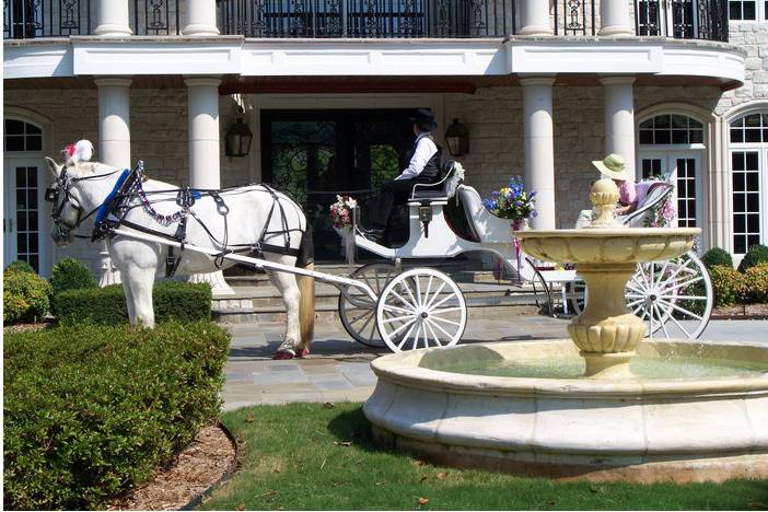 Dreamcatcher Carriage