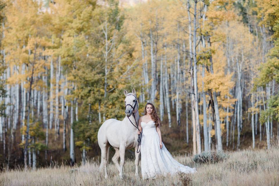 Ashcroft, Colorado